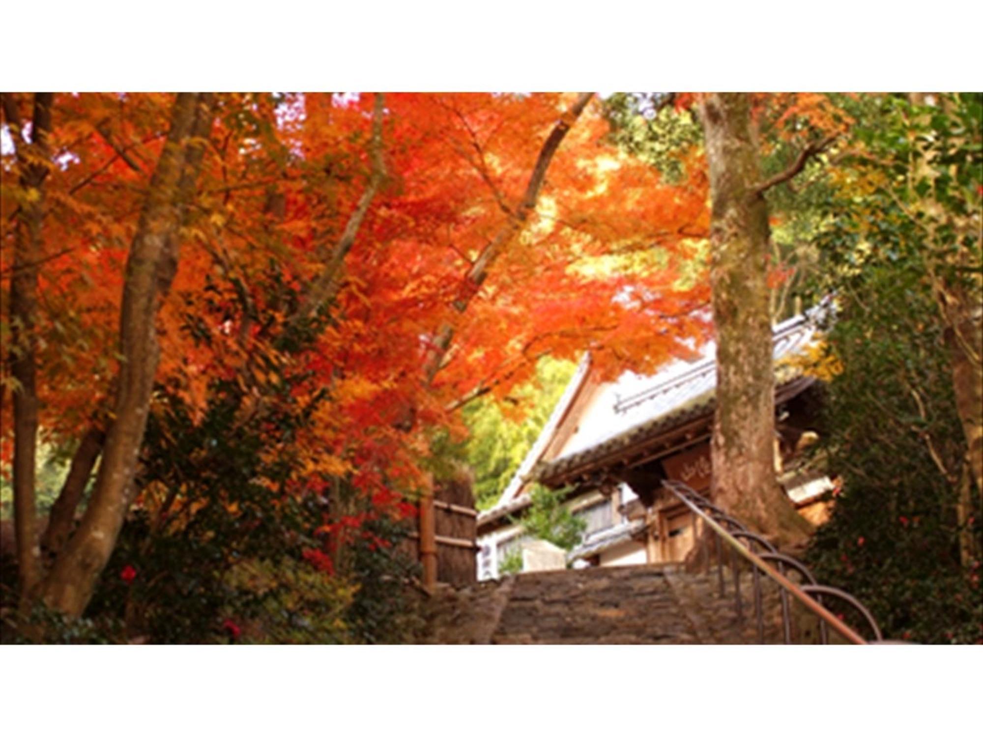 Hotel River Side Arashiyama - Vacation 86216v *