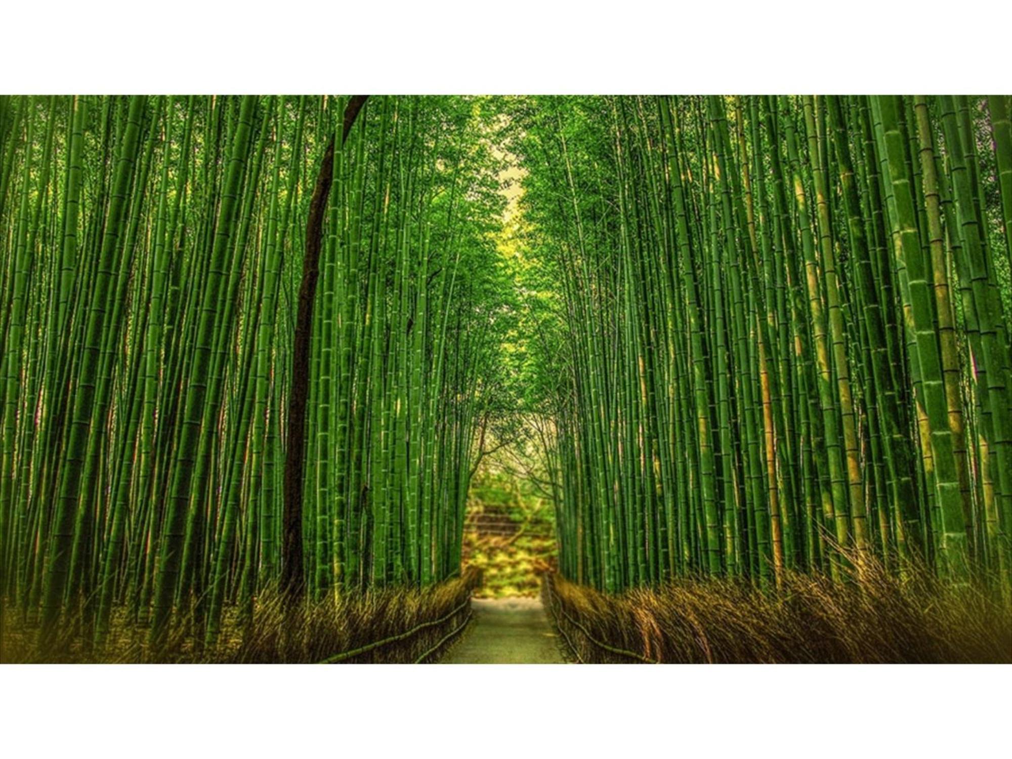 River Side Arashiyama - Vacation 86216v Hotel Kyoto