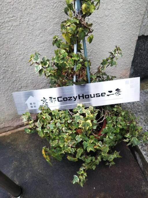 Guest house 京都cozyhouse二条 *