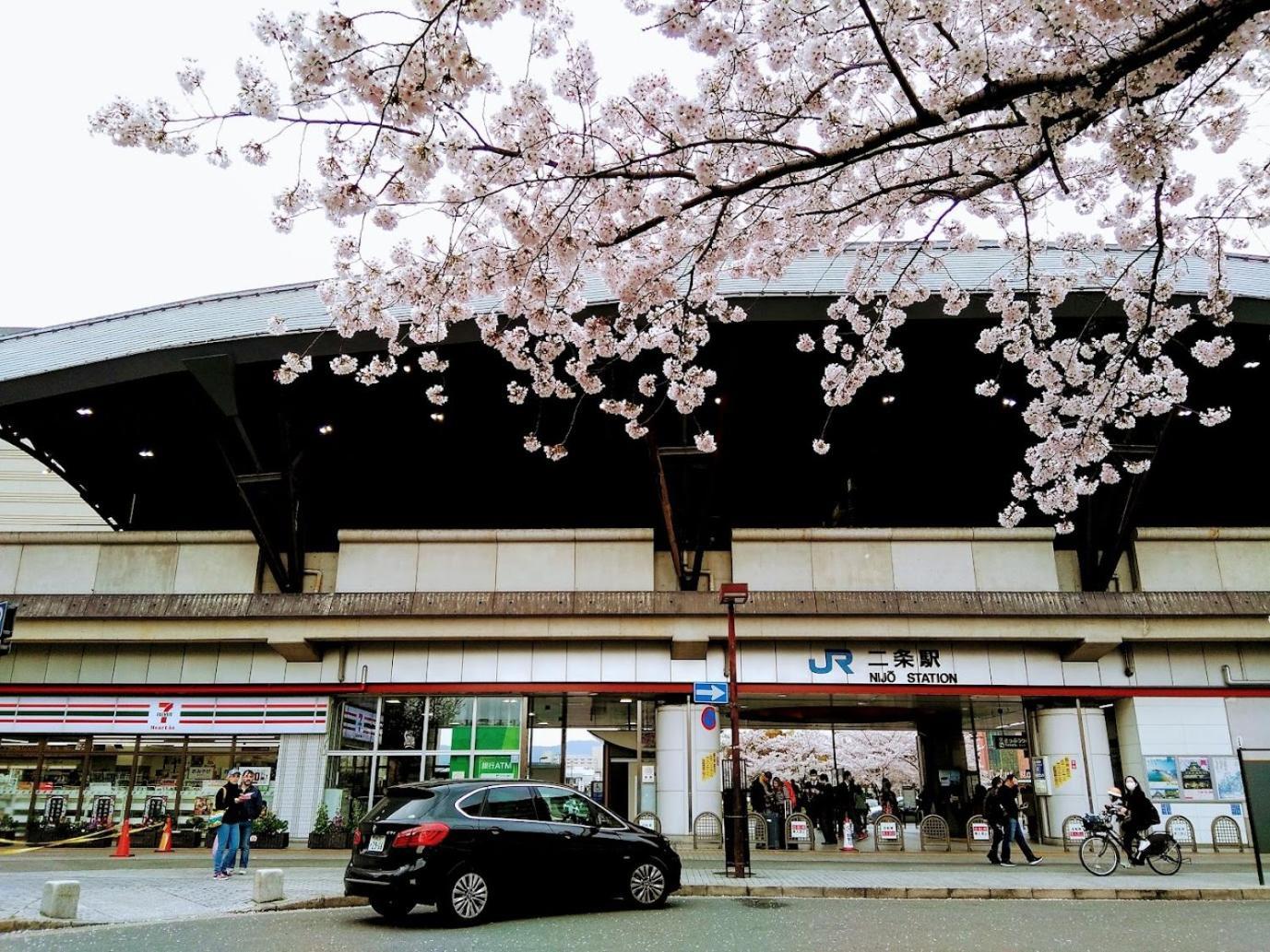 京都cozyhouse二条 *