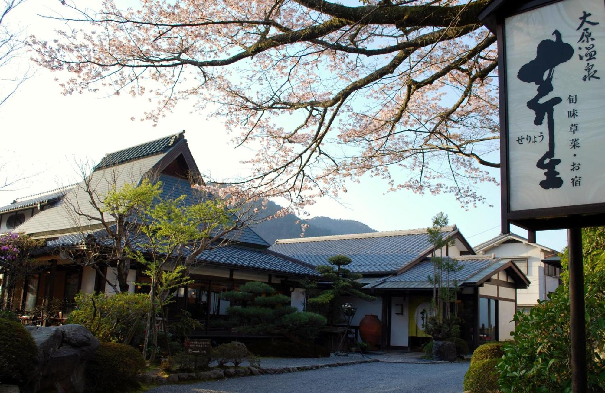 Japanese Seryo Kyoto