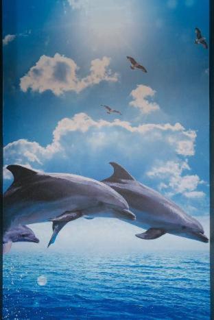 Tabist Sparkling Dolphins Hostel *