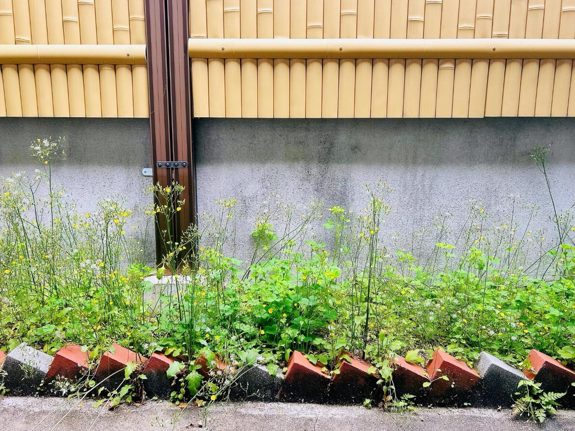 Kokoro No Sato Ume - Vacation 63204v Holiday home