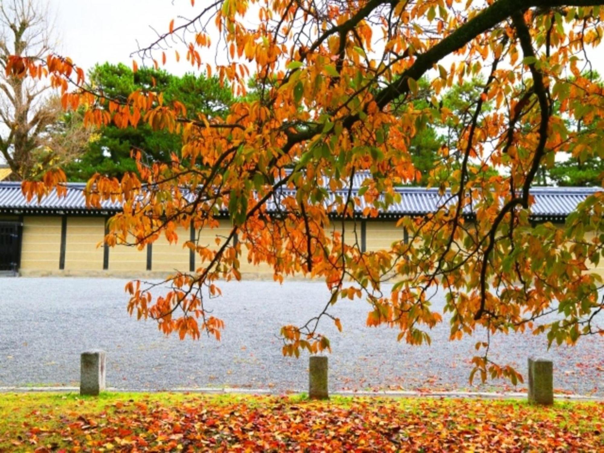 La'gent Nijo 4* Kyoto