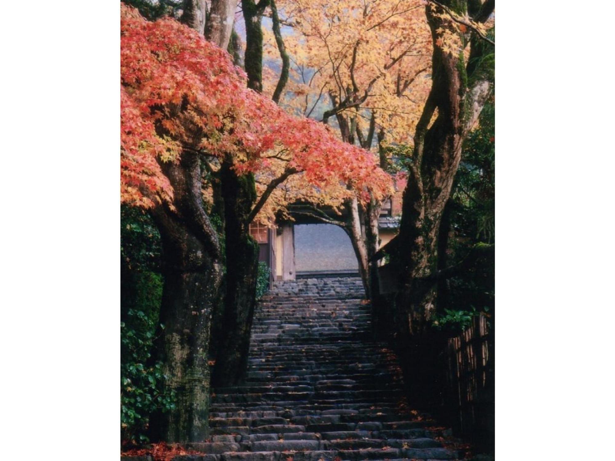 Hotel Ryoso Chatani - Vacation 43122v *
