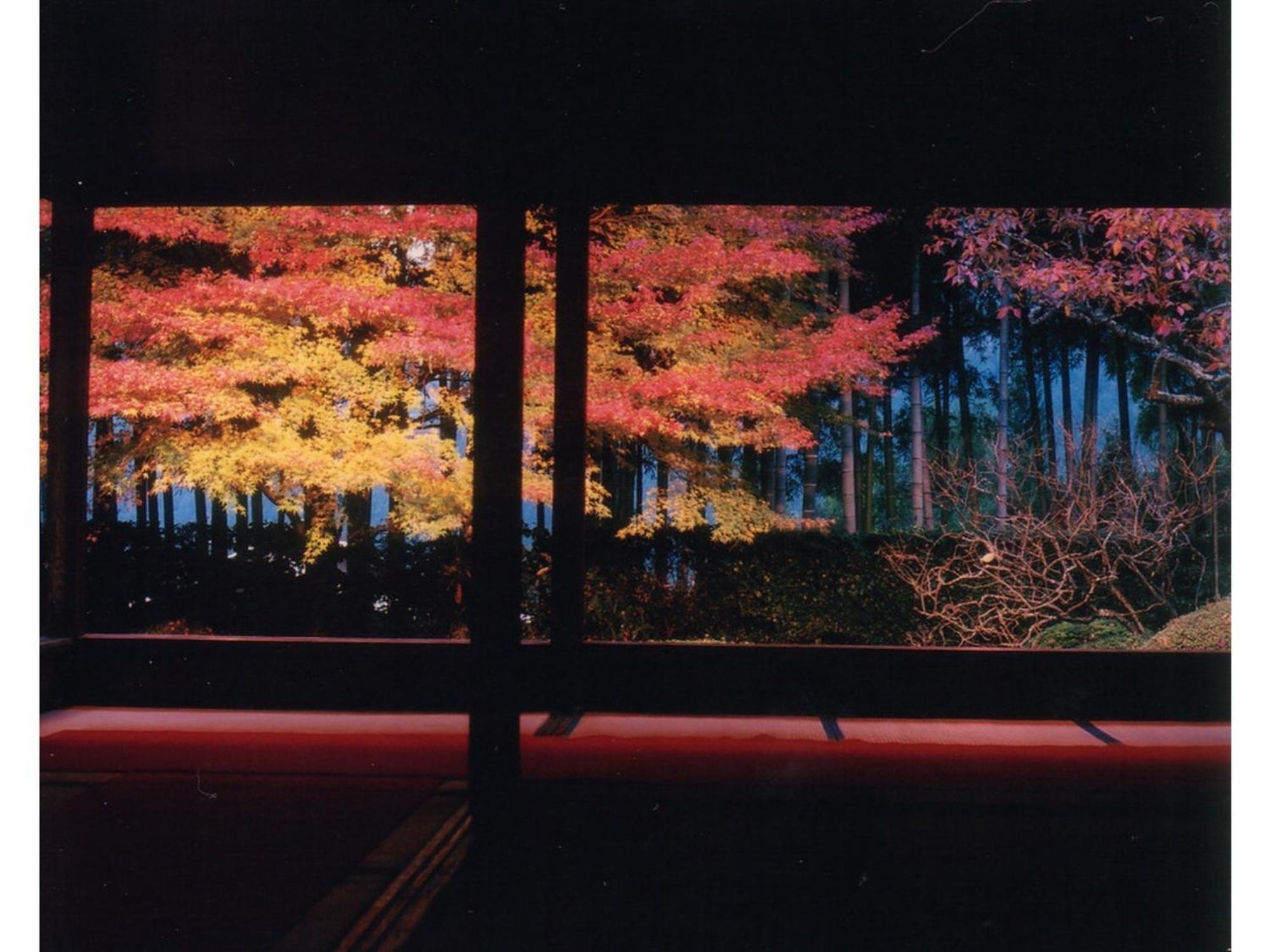 Hotel Ryoso Chatani - Vacation 43122v *