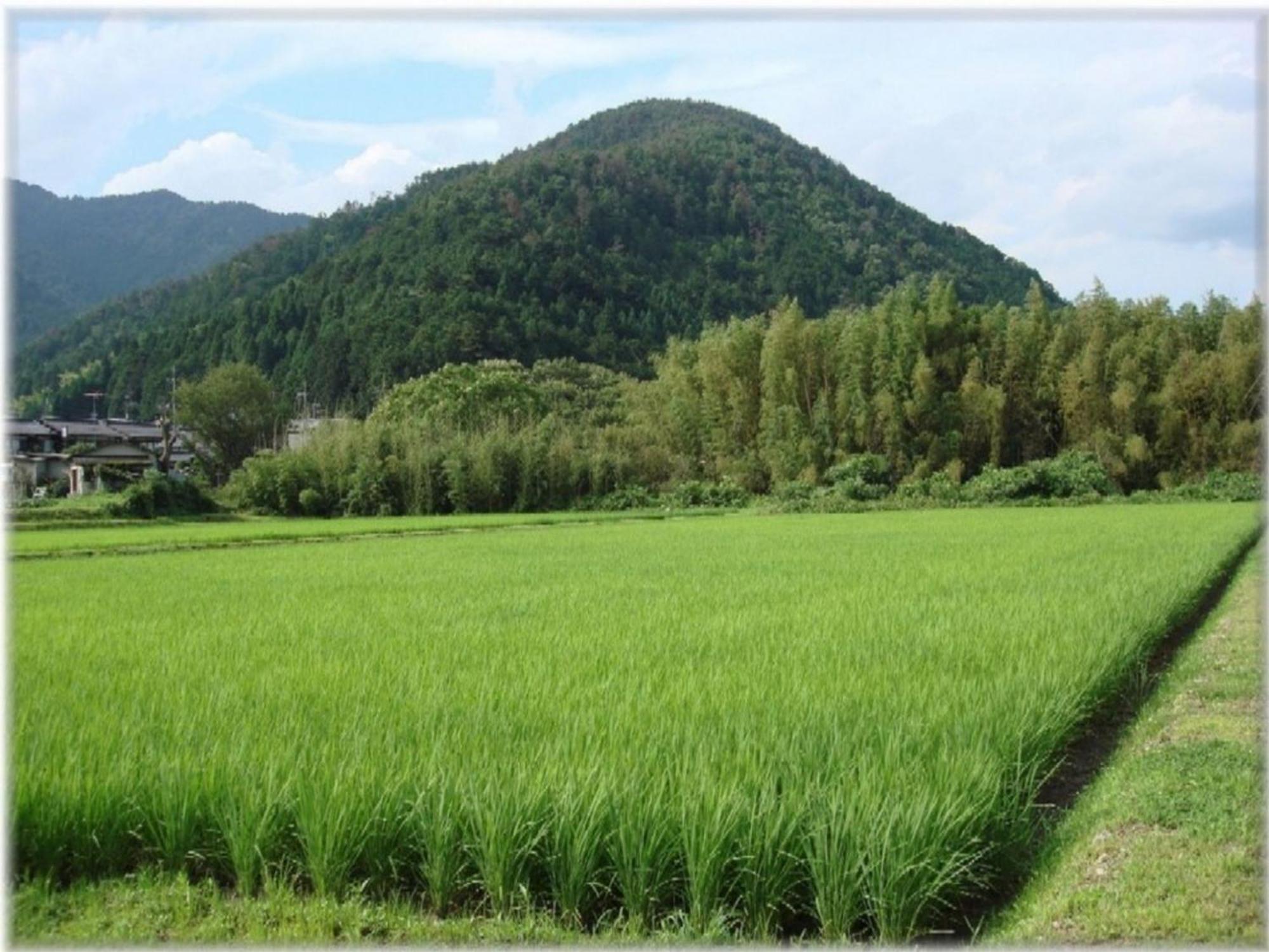 Ryoso Chatani - Vacation 43122v Kyoto