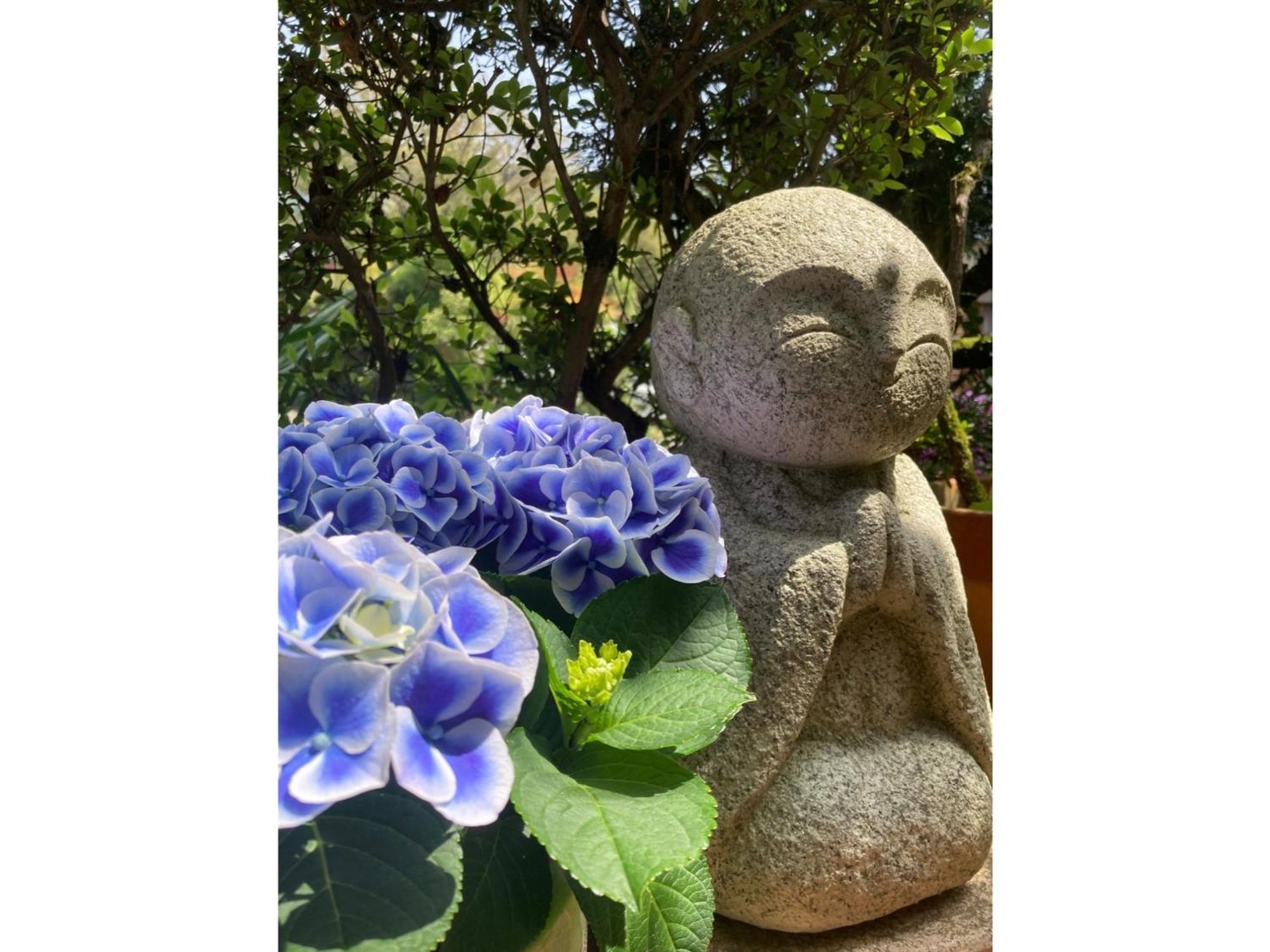 Ryoso Chatani - Vacation 14773v Kyoto