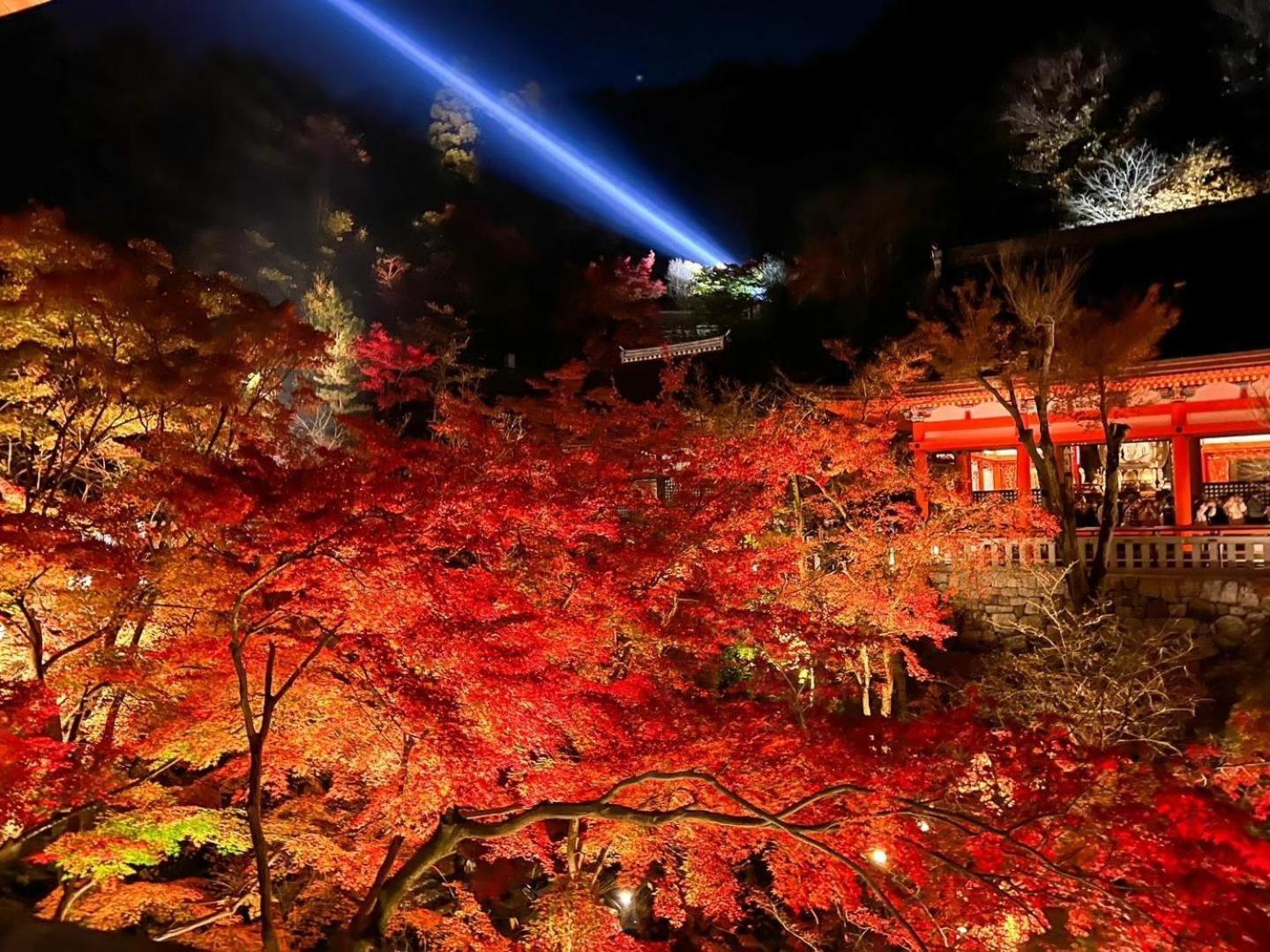 Hotel Rinn Kiyomizu Gion