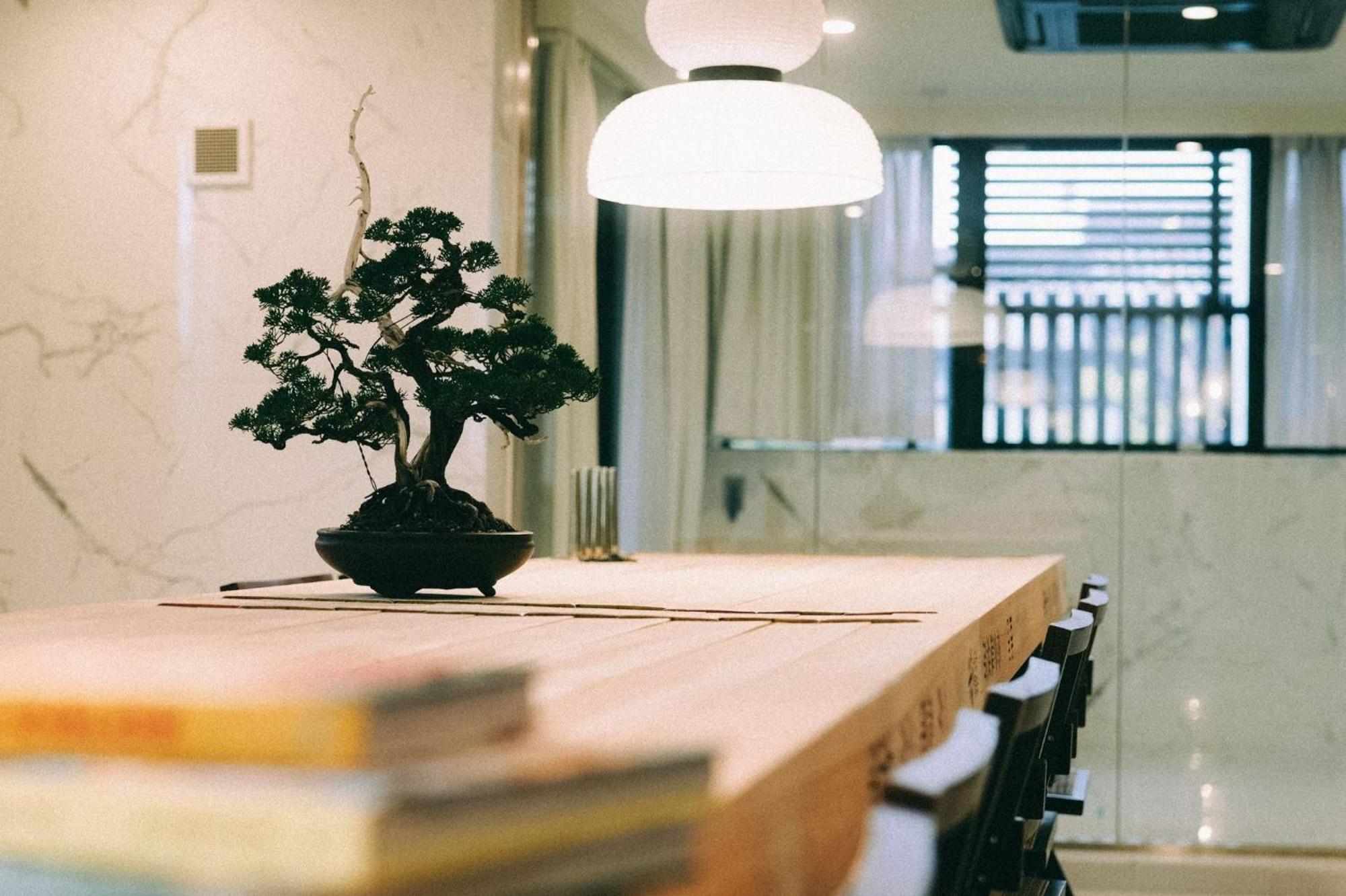 Hotel The Root2 4*