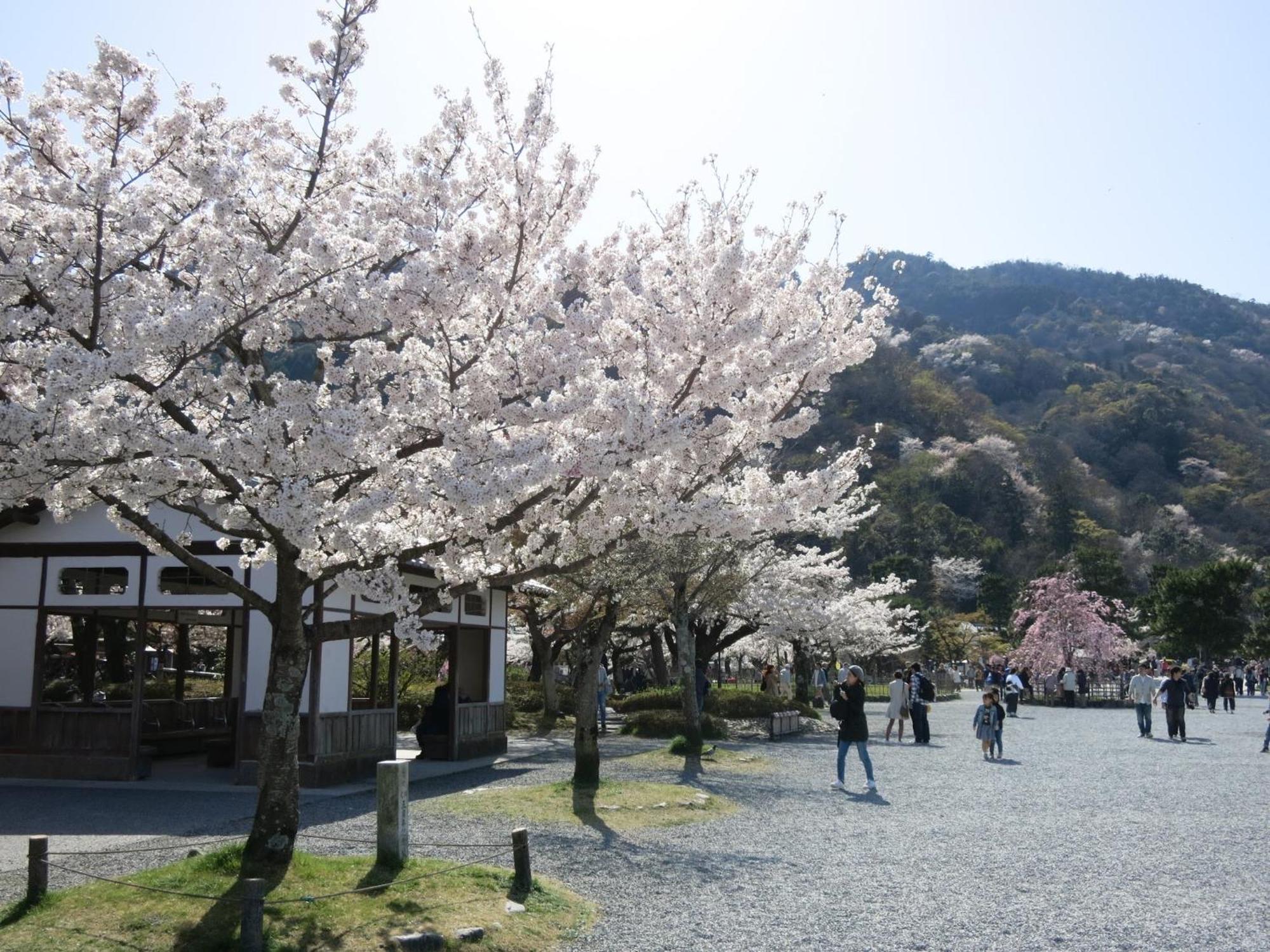 The Grandwest Arashiyama 4* Kyoto