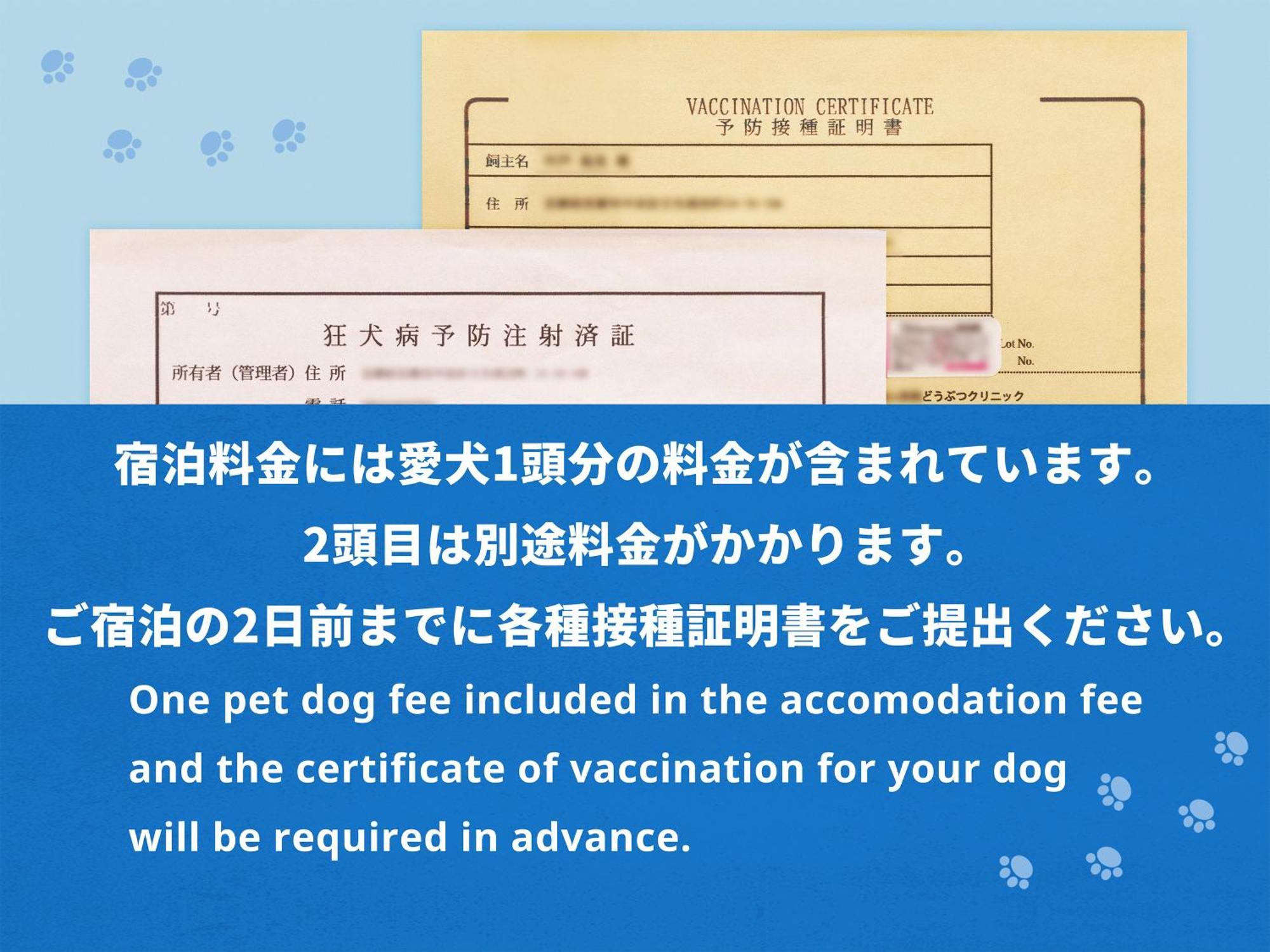 Hotel Anddoggy Nijo Kyoto