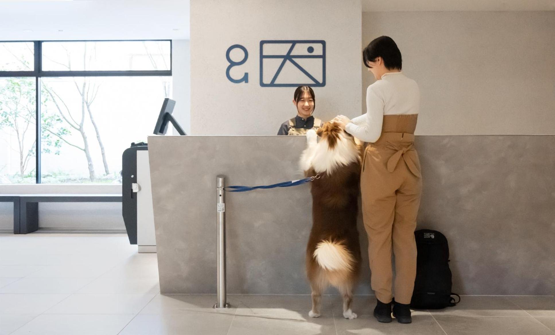 Hotel Anddoggy Nijo