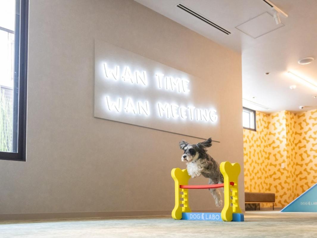 Anddoggy Nijo Hotel Kyoto