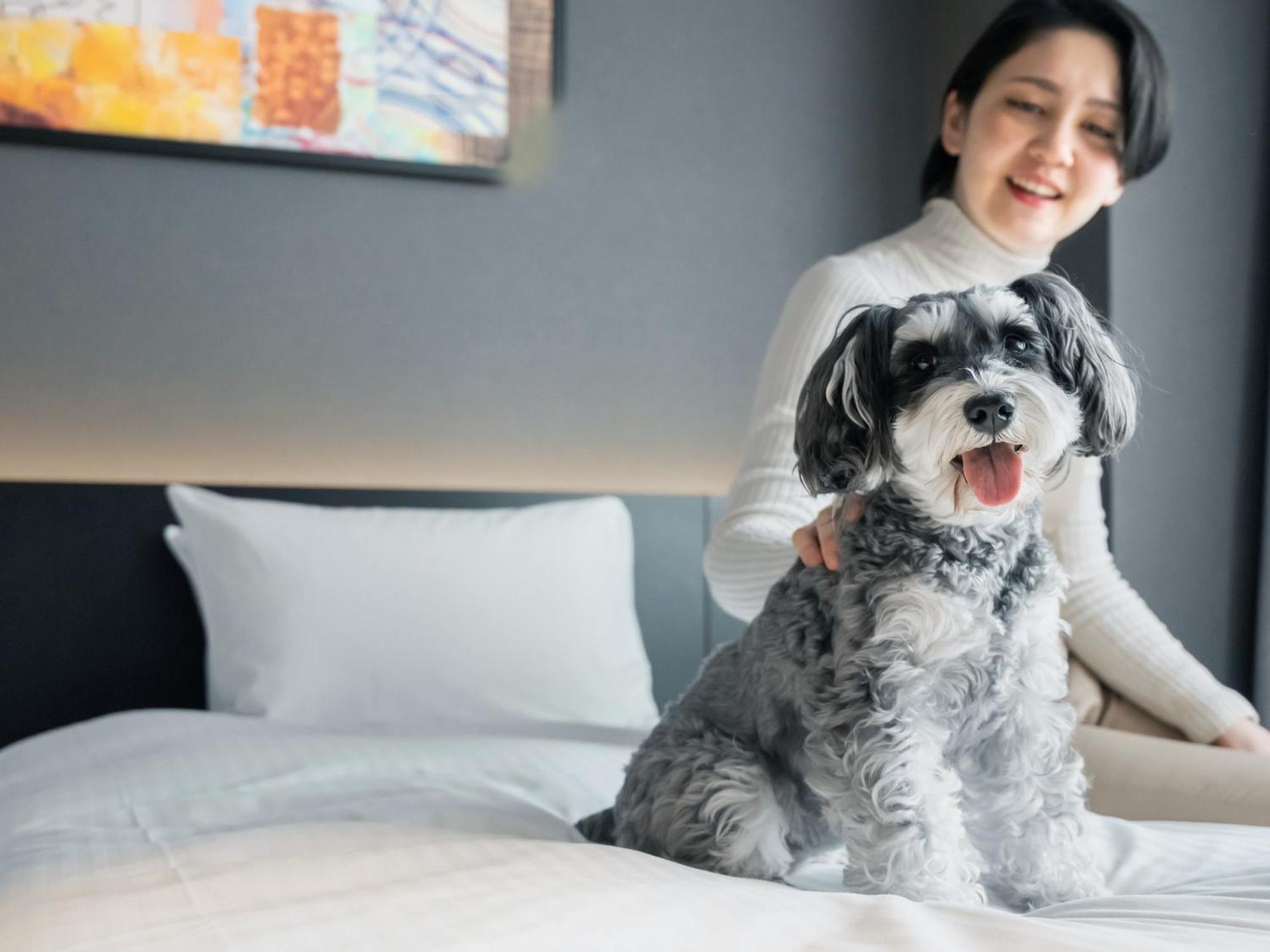 Hotel Anddoggy Nijo 3*