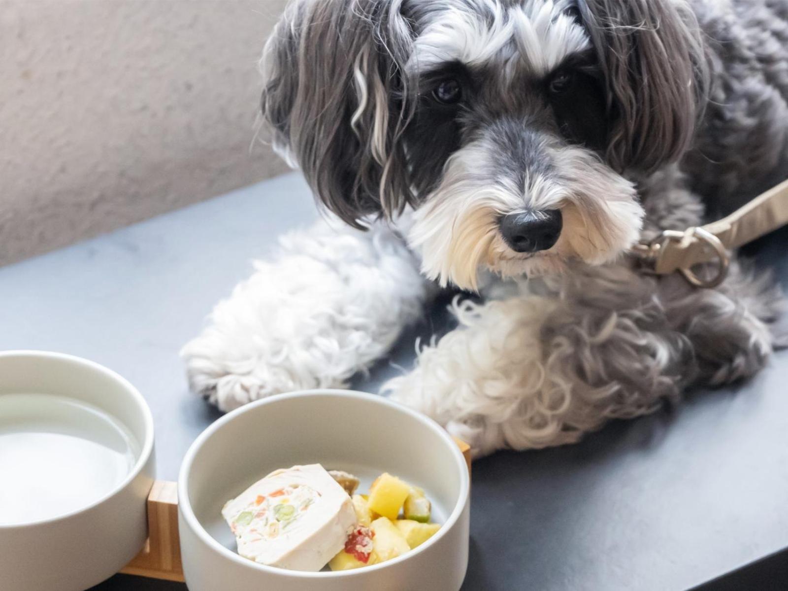 Anddoggy Nijo 3* Kyoto