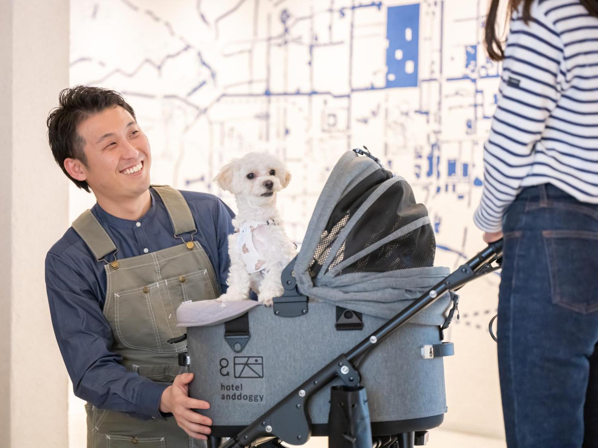 Hotel Anddoggy Nijo 3*