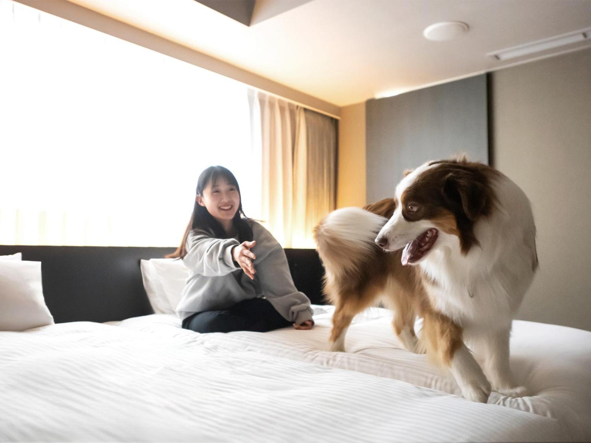 Hotel Anddoggy Nijo