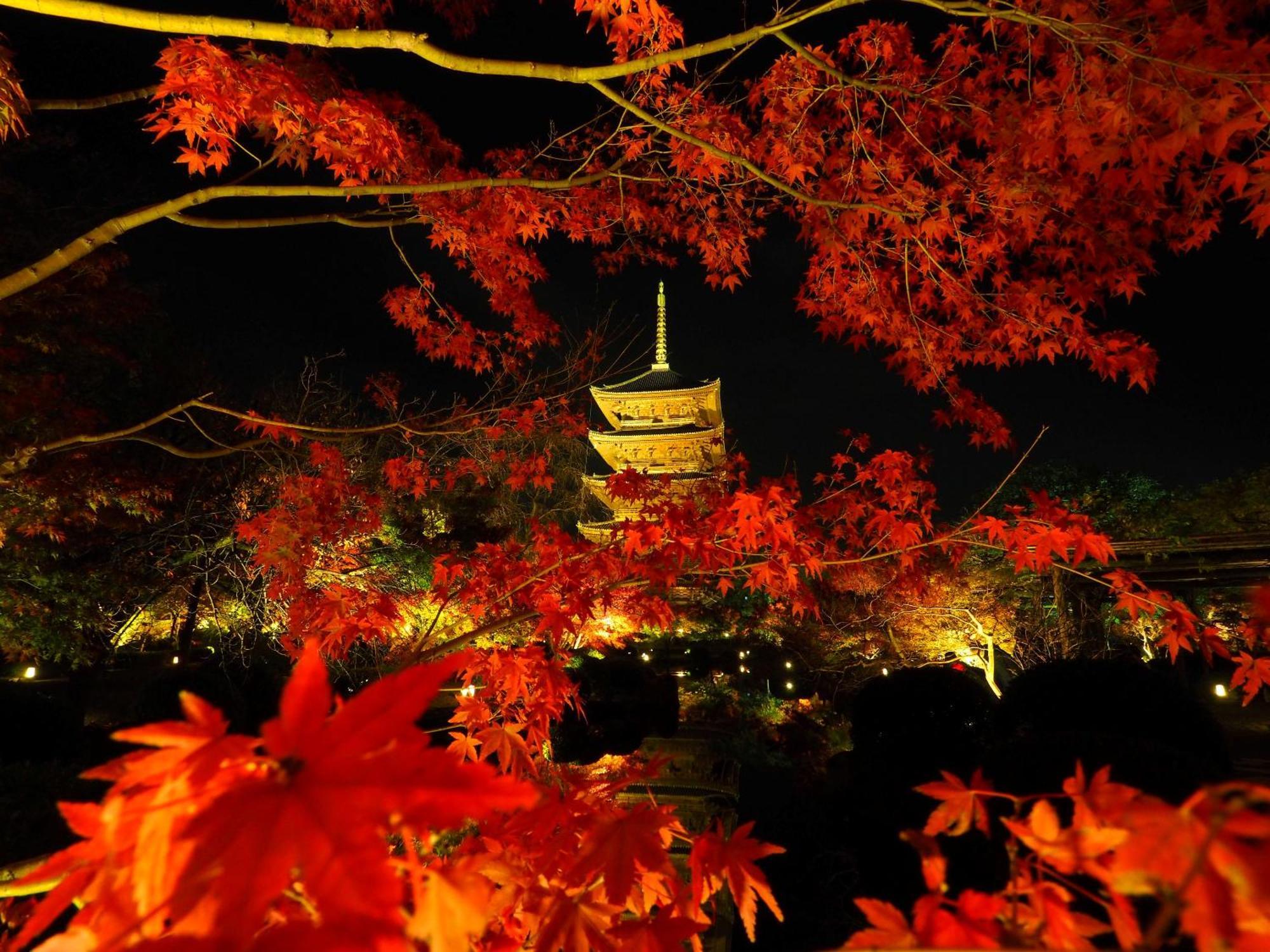 Sakura Higashi Hongan-ji I Aparthotel