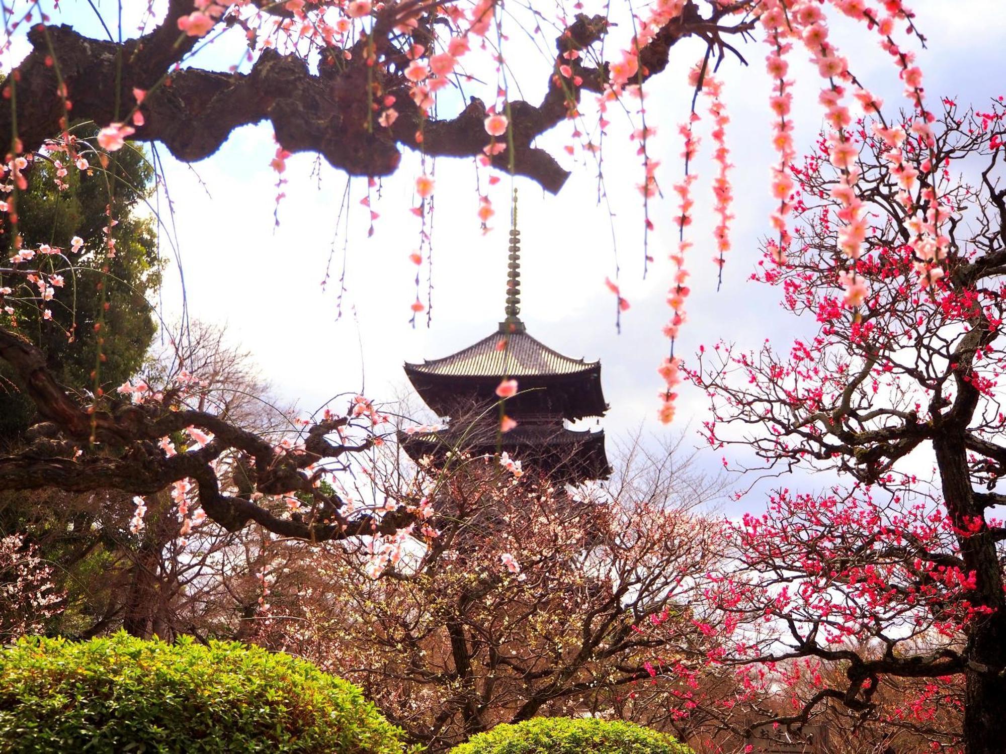 Aparthotel Sakura Higashi Hongan-ji I 3*