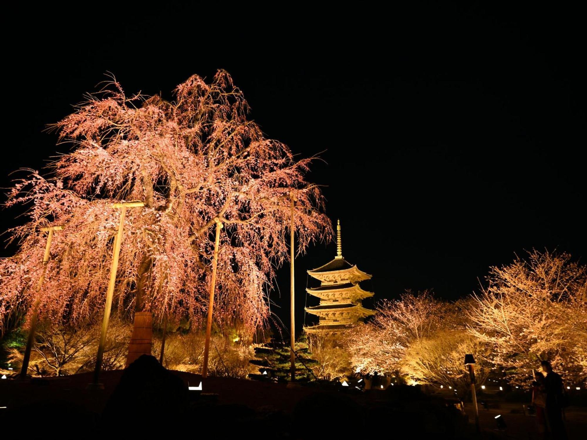 Sakura Higashi Hongan-ji I Aparthotel