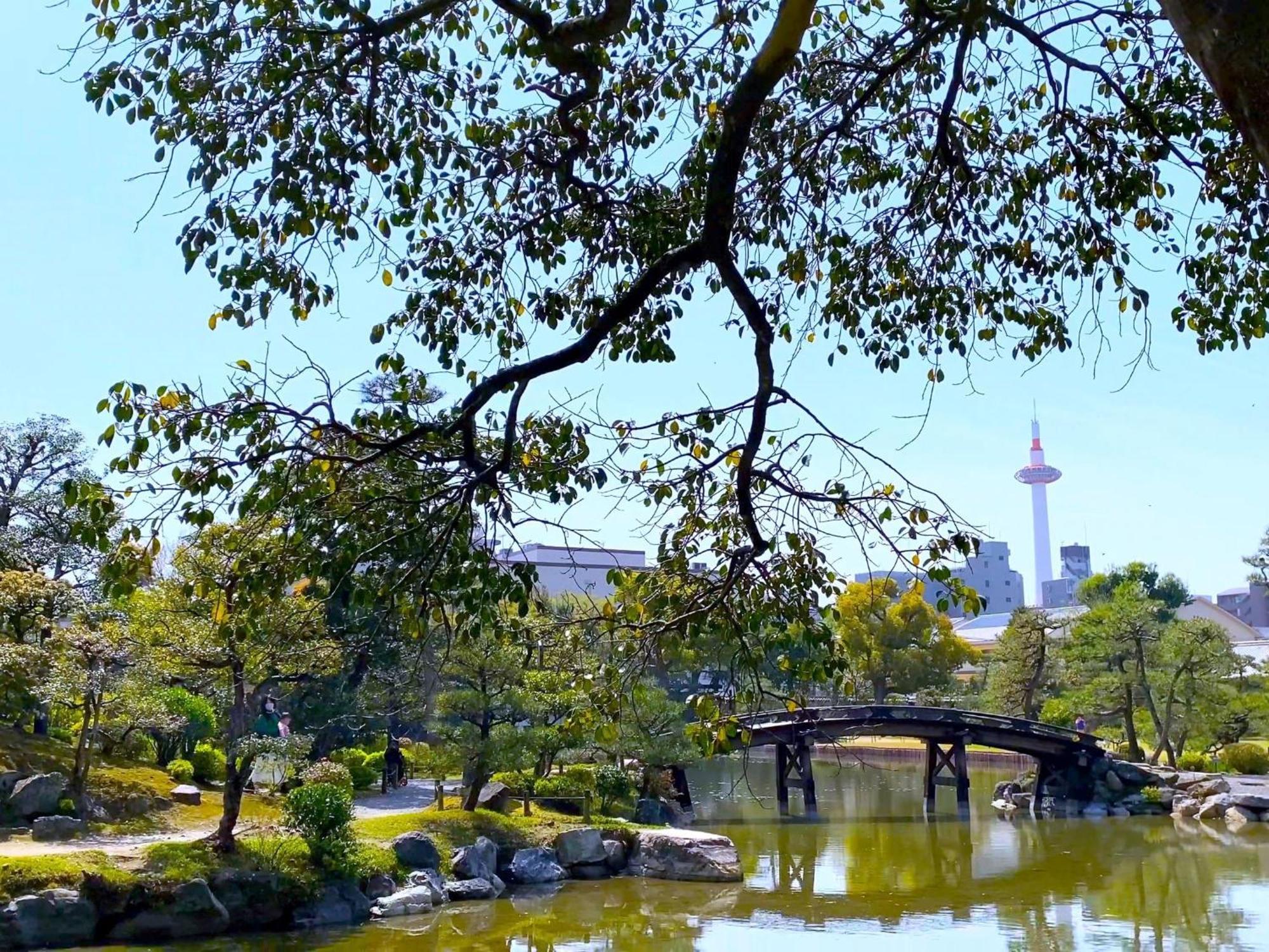 Sakura Higashi Hongan-ji I