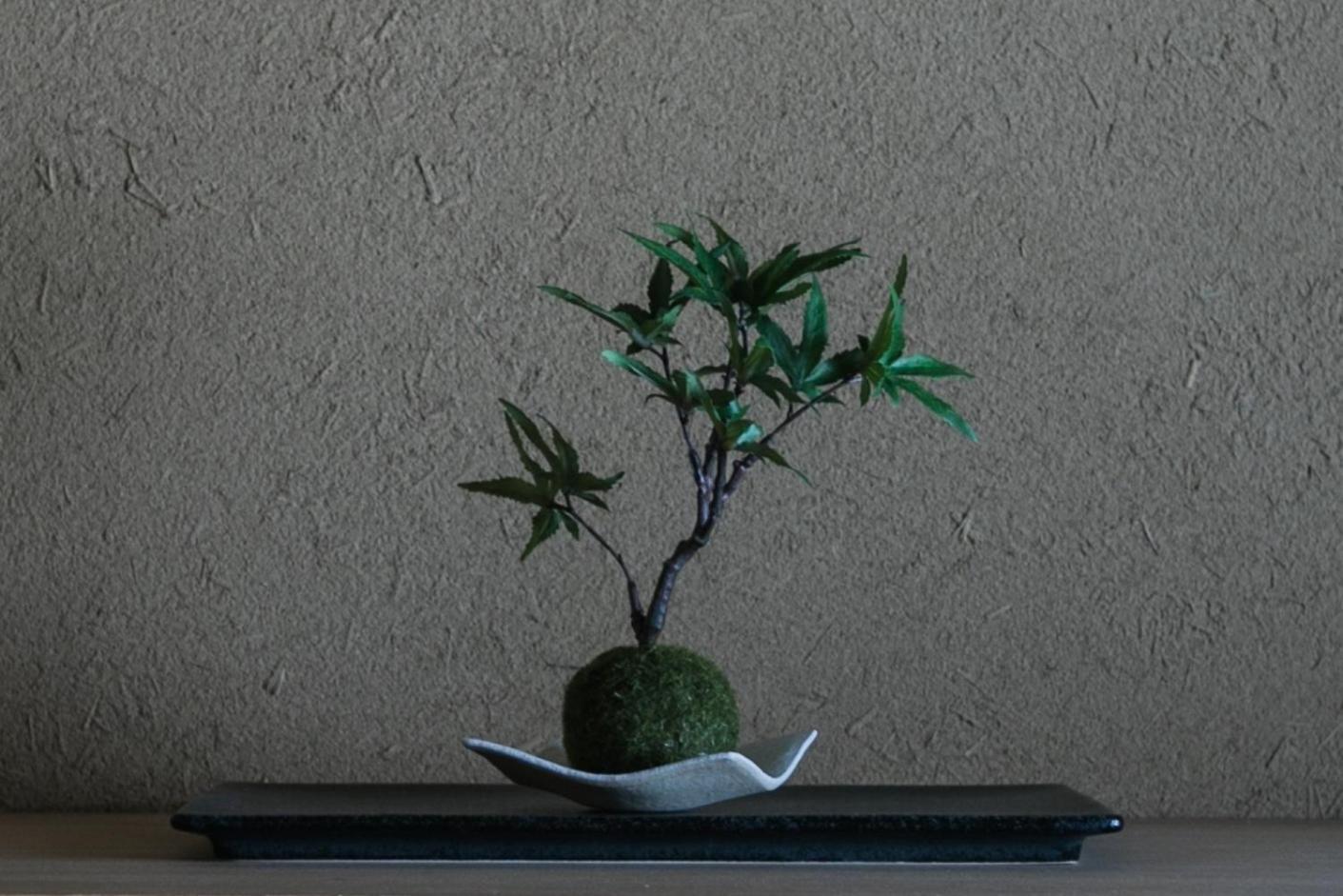Apartment No,8 - Vacation 60719v *