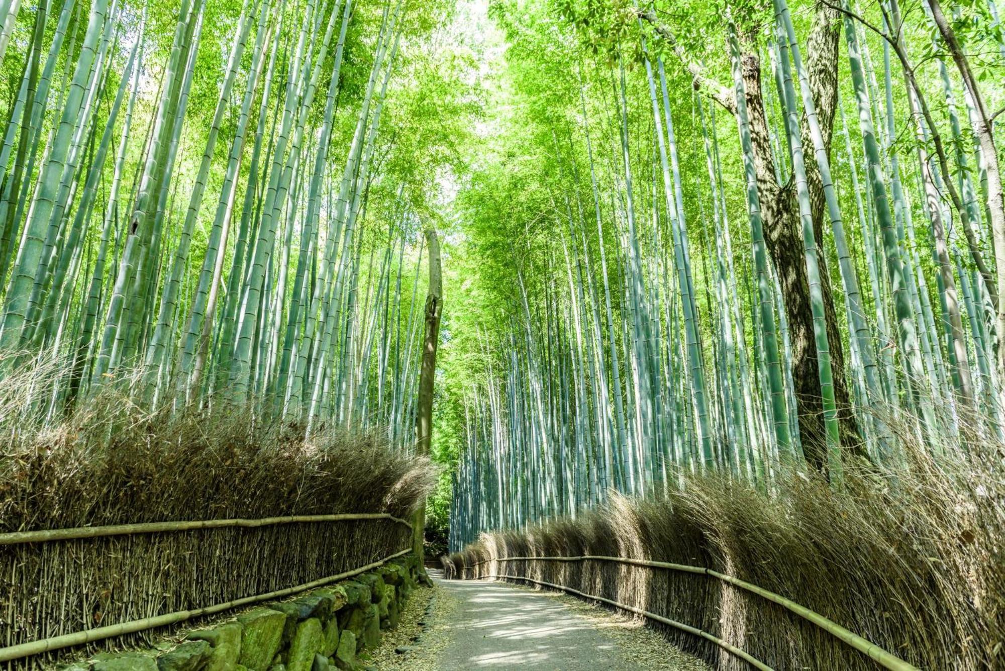 Mimaru Nishinotoin Takatsuji Hotel 4*