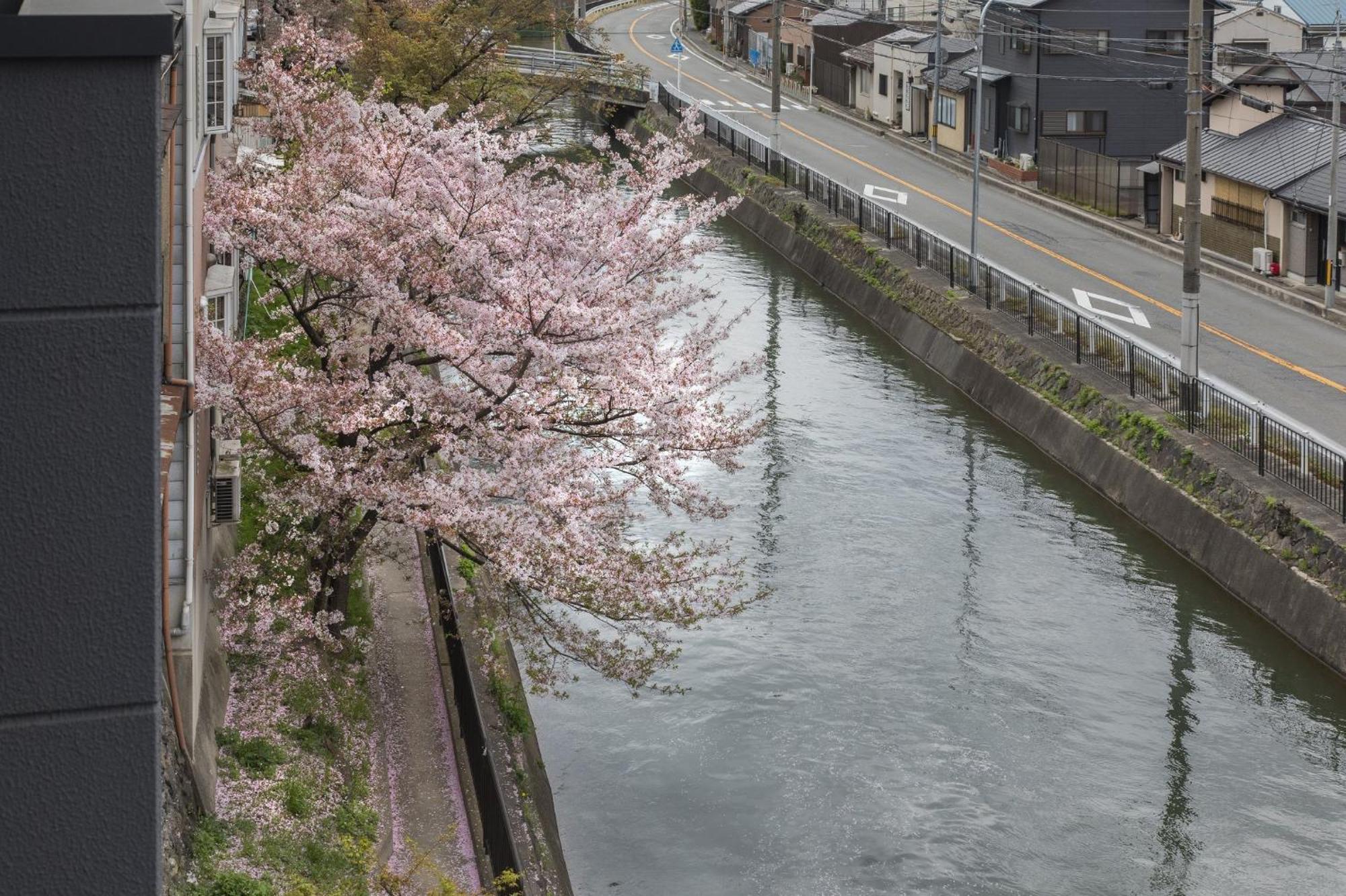 Apartment Tohukuji Rever Side - Vacation 30955v *