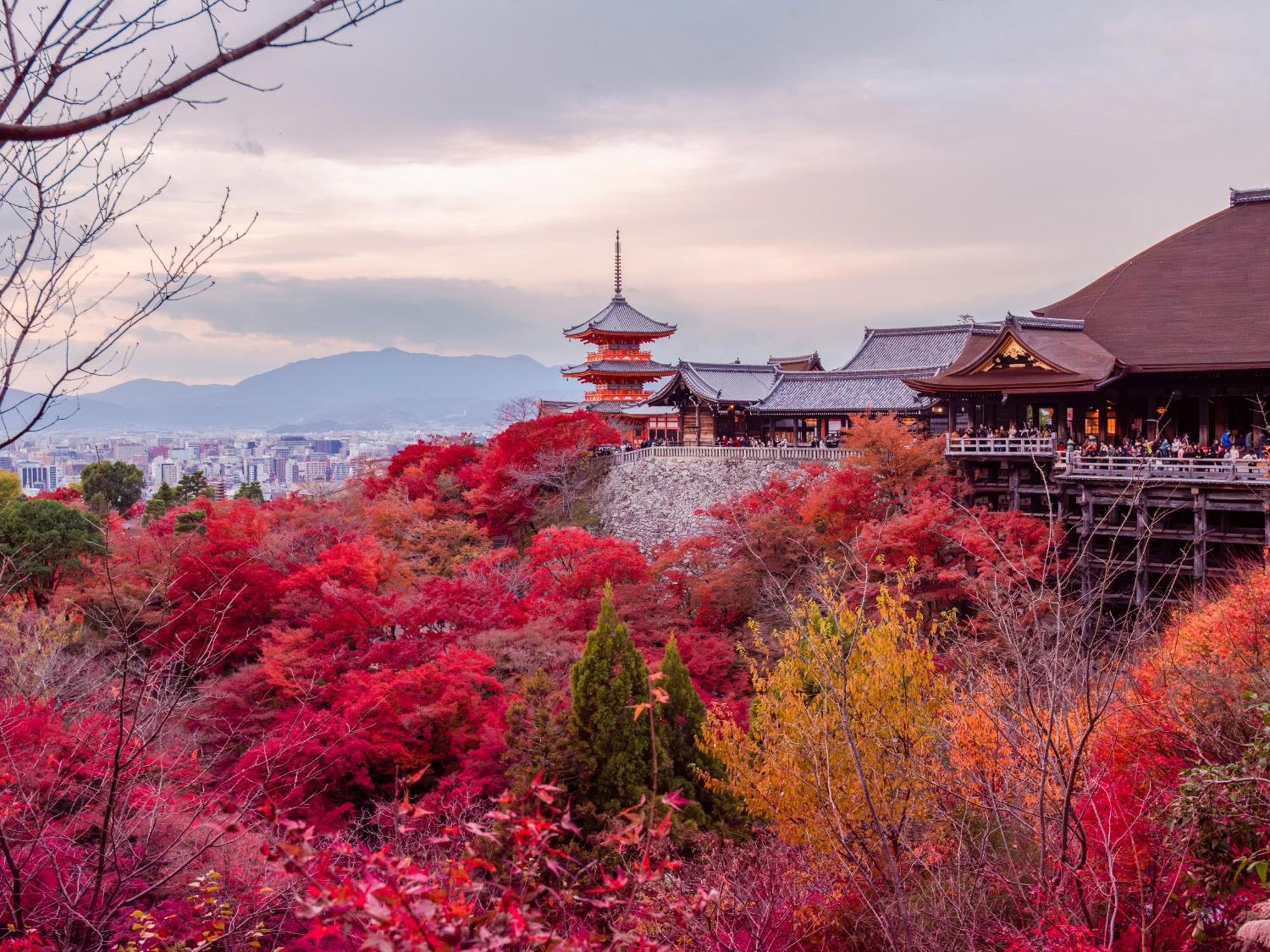 Stitch Kyoto