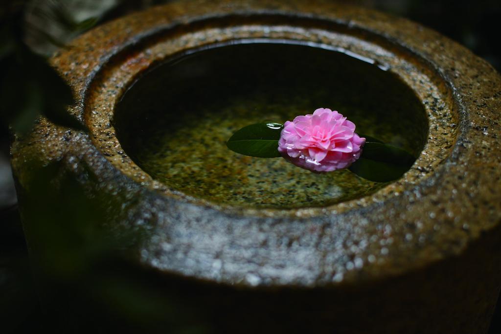 Matsui Honkan Ryokan 4*