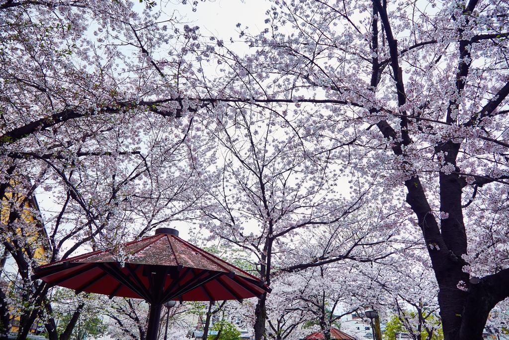Hana-touro * Kyoto