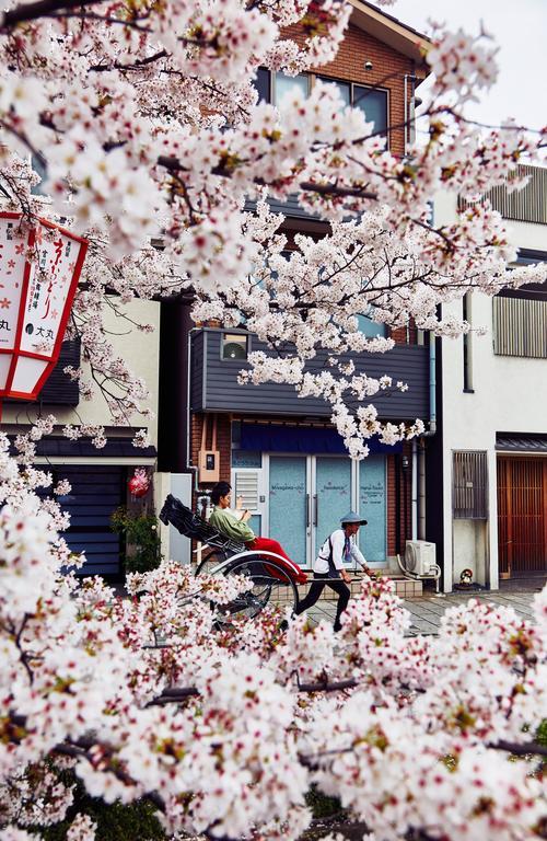 Apartment Hana-touro