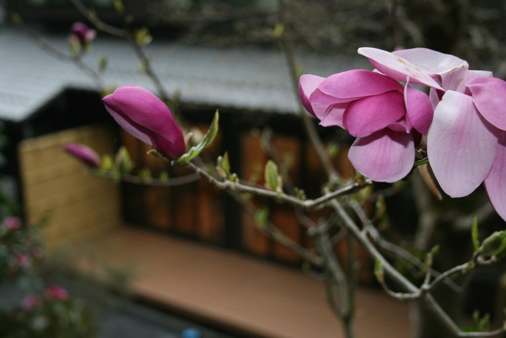Yumoto Onsen Oharasansou Ryokan