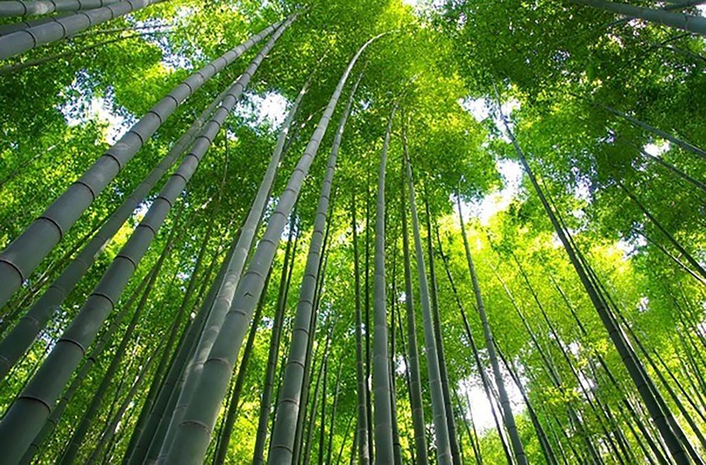 The Grandwest Arashiyama