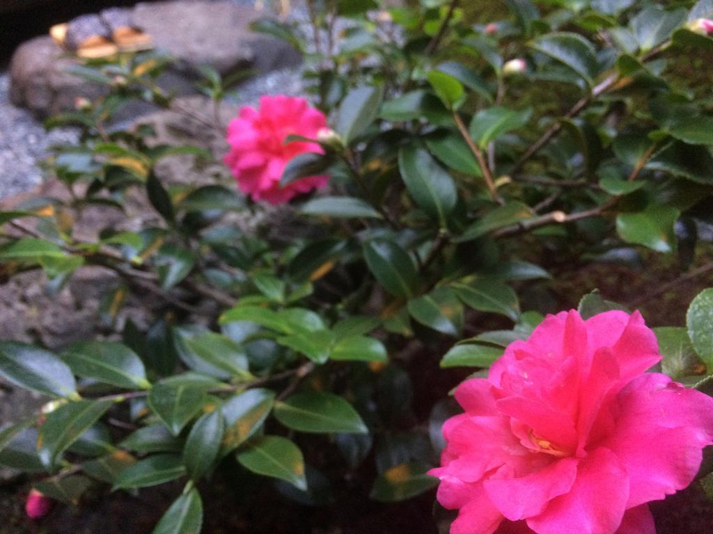 Machiya Oozora Holiday home