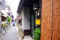Serendipity At Kyoto *