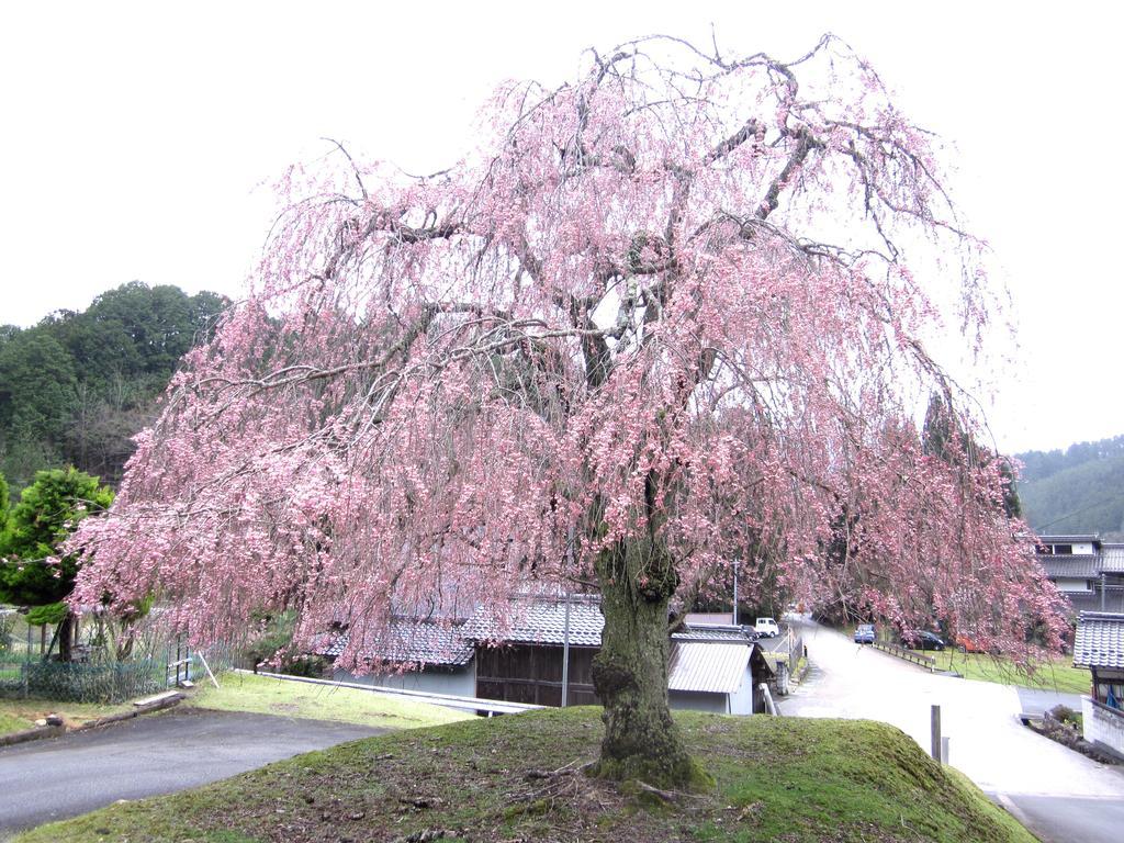Tokuheian *