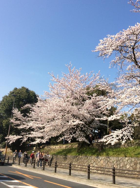 Higashiyama Hale Temari * Kyoto