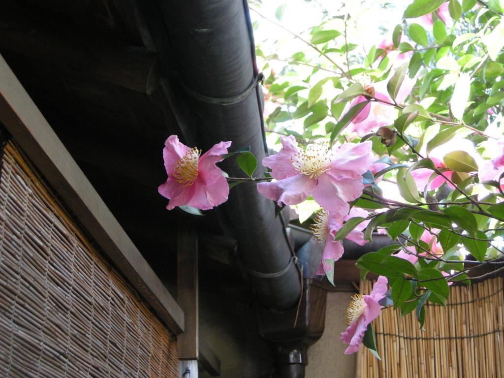Itoya