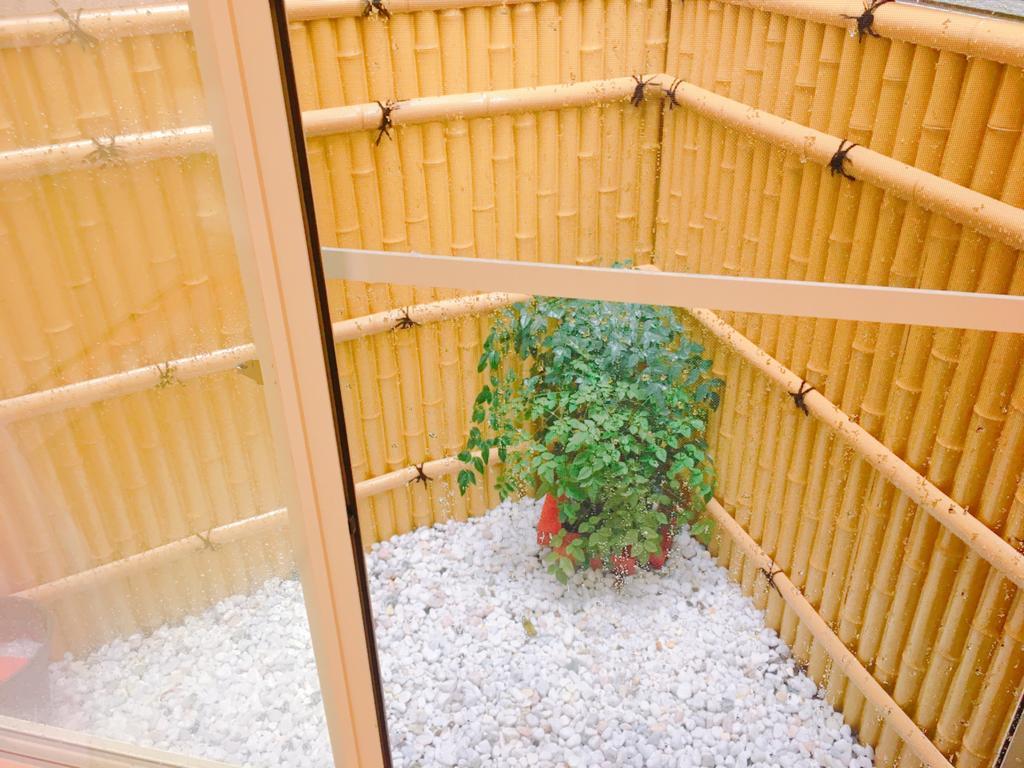 Coco House Guest house Kyoto
