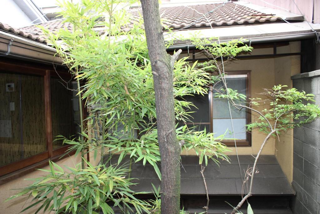 Guest house Riverside Takase