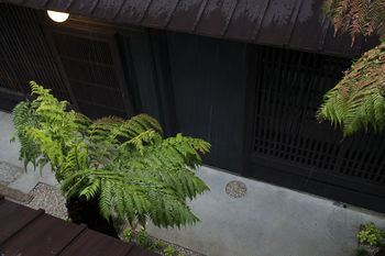 Kyomachiya Shiki Juraku