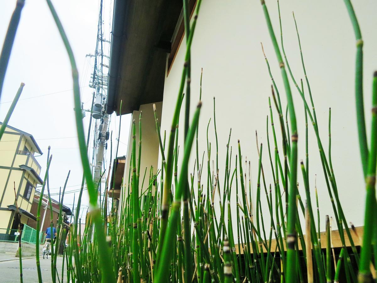 Sanzen Ya さんぜんやきょうと- Cozy Art Space For Lover Of Travel - Holiday home Kyoto