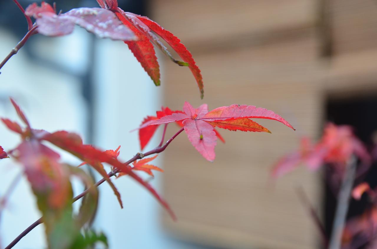Miyabi Cosy House Guest house Kyoto