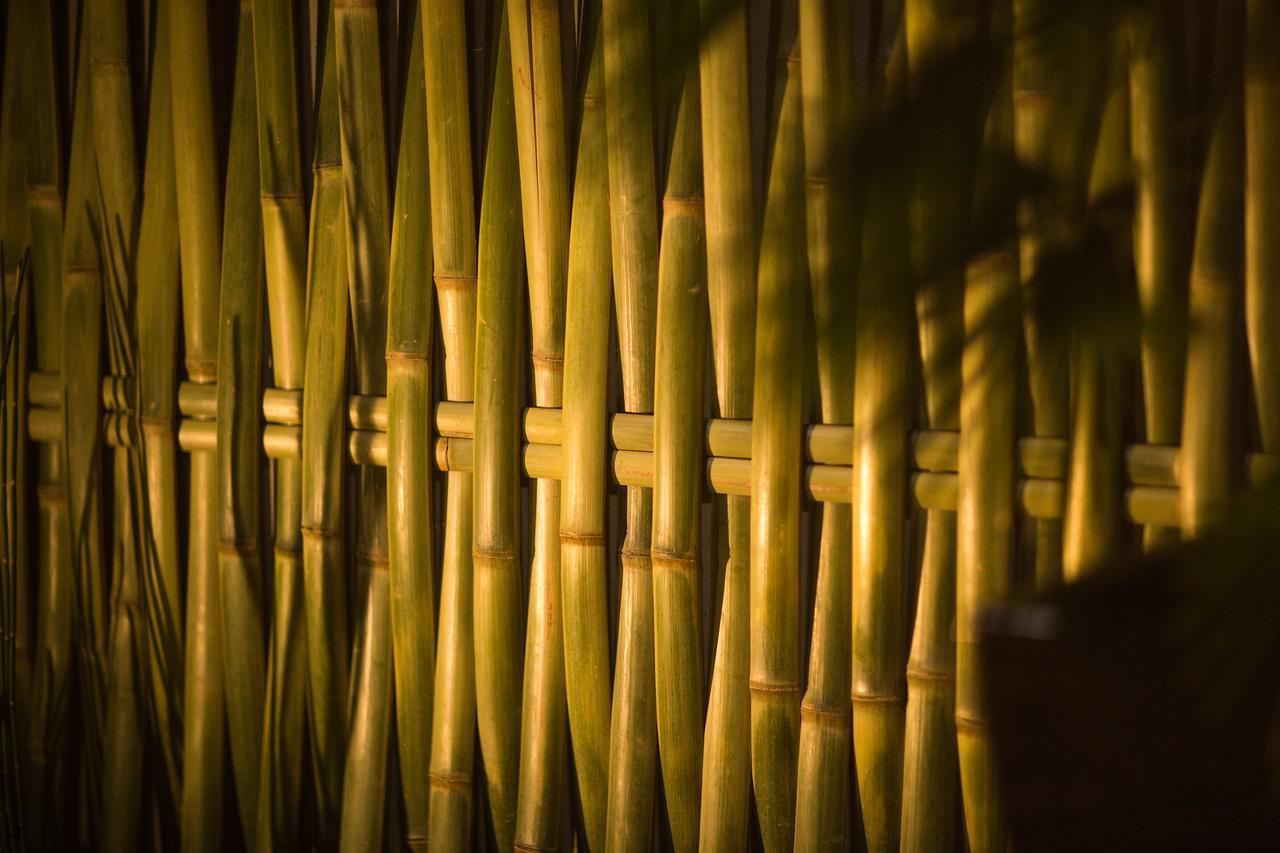 Ryokan Kanade Kyoto