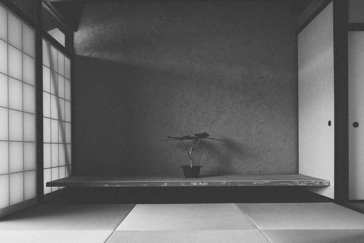 Wuz Kamogawa