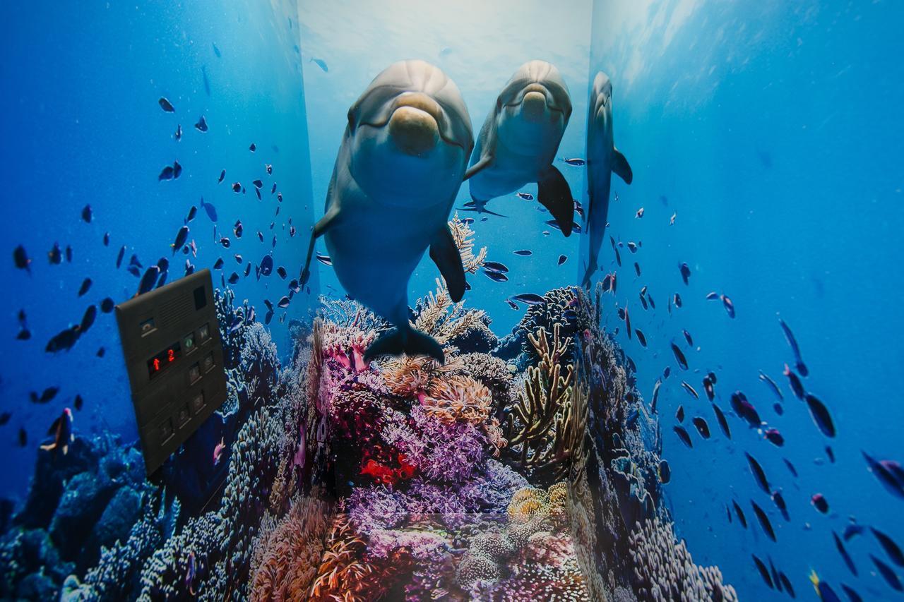 Tabist Sparkling Dolphins