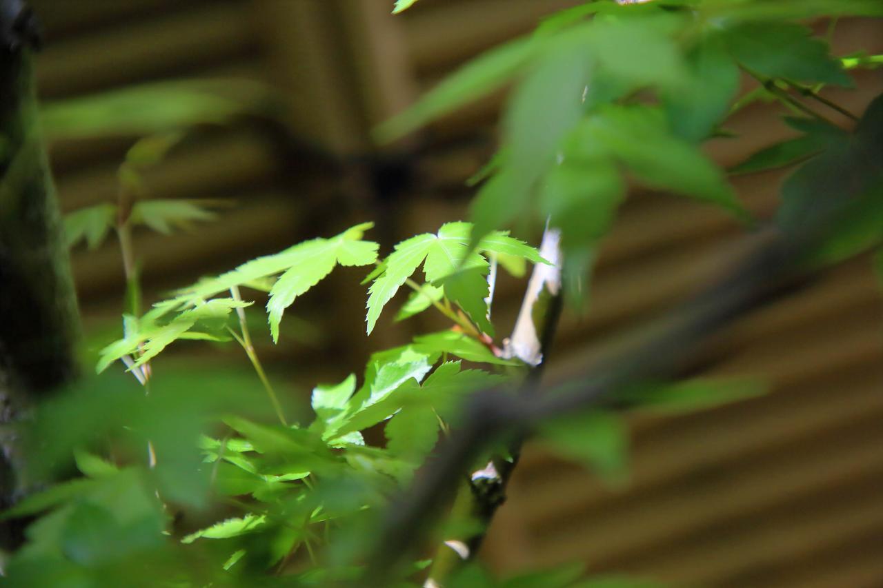 Kyo Machiya Yuan 2* Kyoto