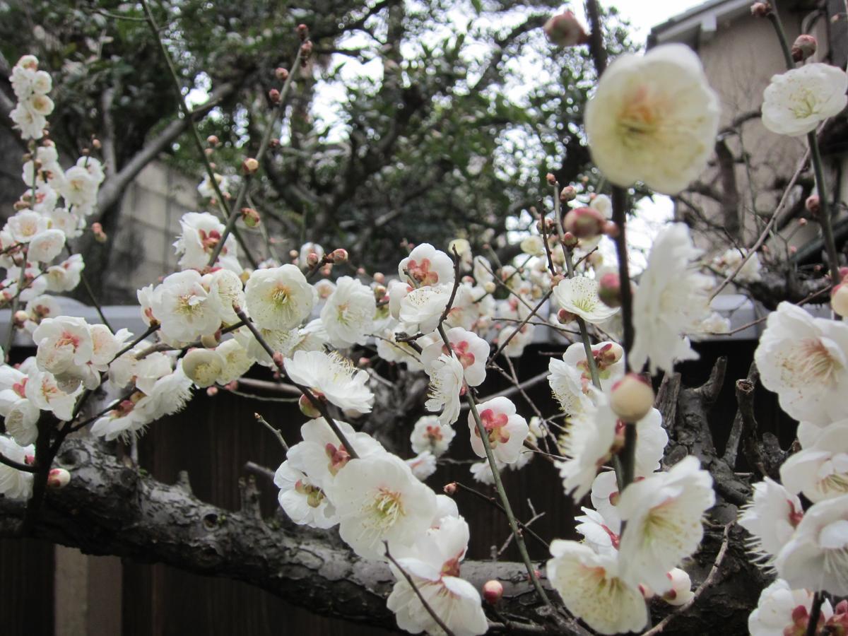 Yadoya Nishijinso Kyoto